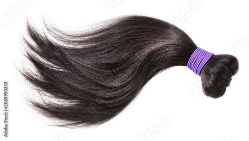 Tableau sur toile Isolated long wavy dark brown hair extensions ponytail tied with a purple elastic band