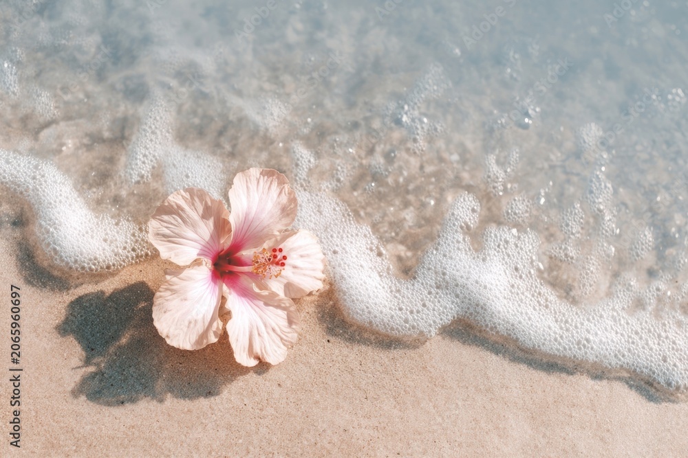 Obraz premium Hibiscus flower on sandy beach.