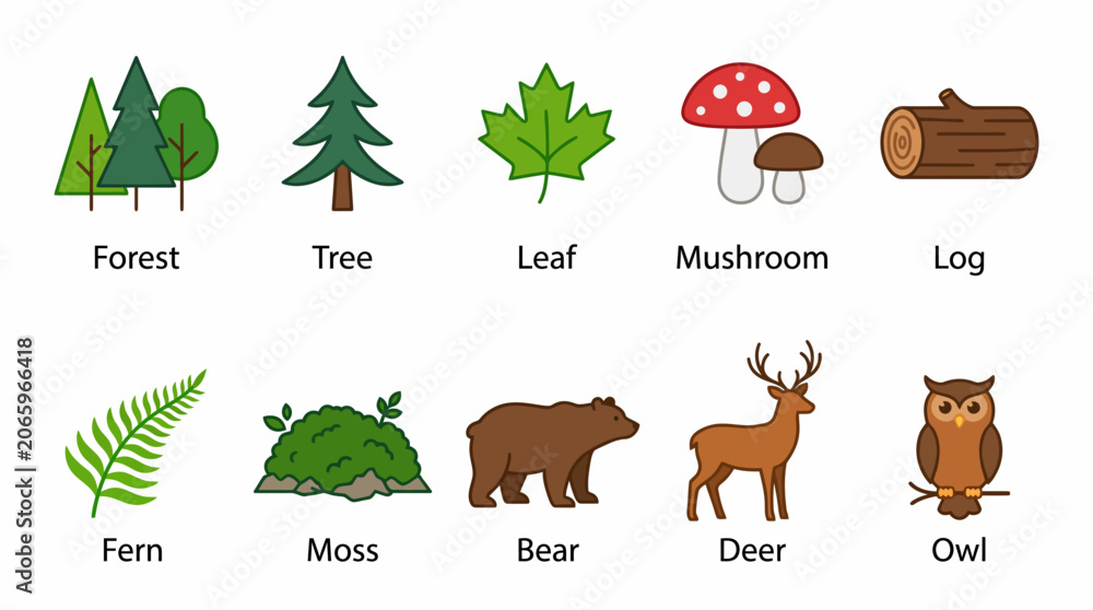 Obraz premium Colorful Forest Nature Elements Illustration Set.