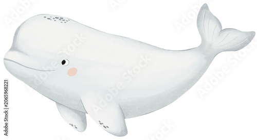 Fotografie Hand drawn white beluga whale nursery clipart with grainy paper texture
