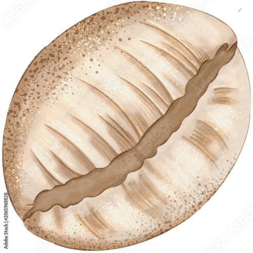 фотографія Hand drawn beige cowrie shell nursery clipart with grainy paper texture