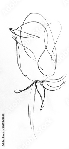 Calligraphic roses made with brush on paper showing small and large designs in a simple yet striking form
