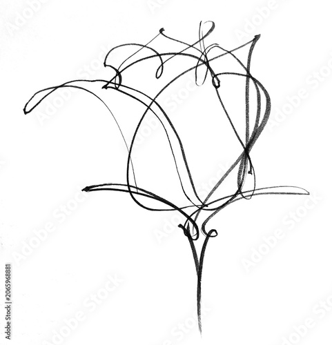Calligraphic roses created with brush on paper showing details of design in various sizes