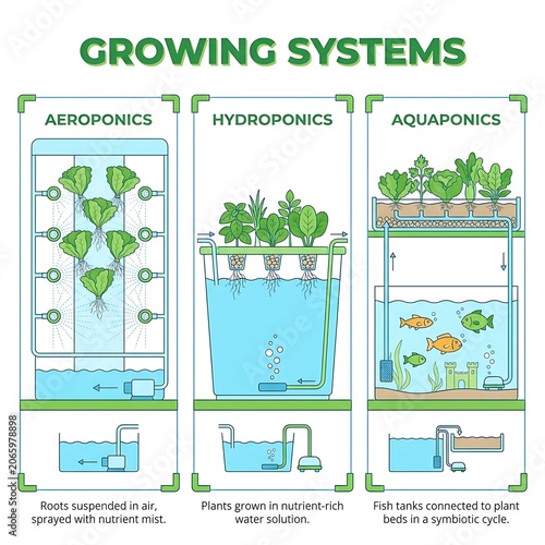 Illustrated comparison of aeroponics hydroponics and aquaponics growing systems for plants