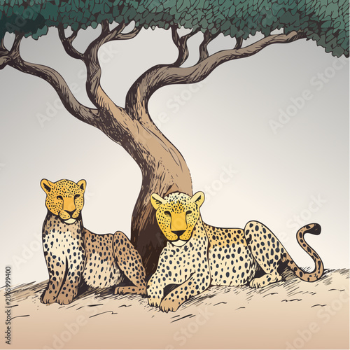 Two majestic cheetahs resting peacefully under a tree in the African savanna.