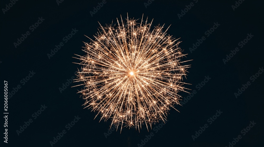 Fototapeta premium Vibrant firework explodes in night sky with bright orange sparks