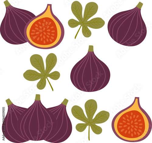 Canvastavla An illustration of purple figs, including whole fruits, halved pieces showing th