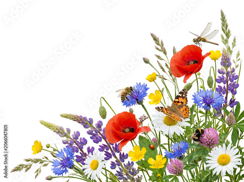 Vibrant Meadow Wildflowers Arrangement with Flying Insects Isolated on White Background for Floral Spring Designs