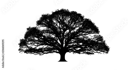 Tableau sur toile Tree silhouette, black tree, deciduous tree, landscape icon, nature symbol Vecto