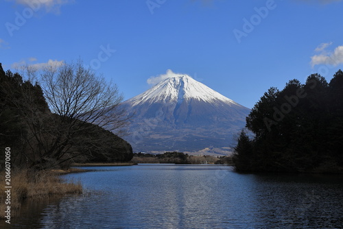 田貫湖からの富士山 (冬)
