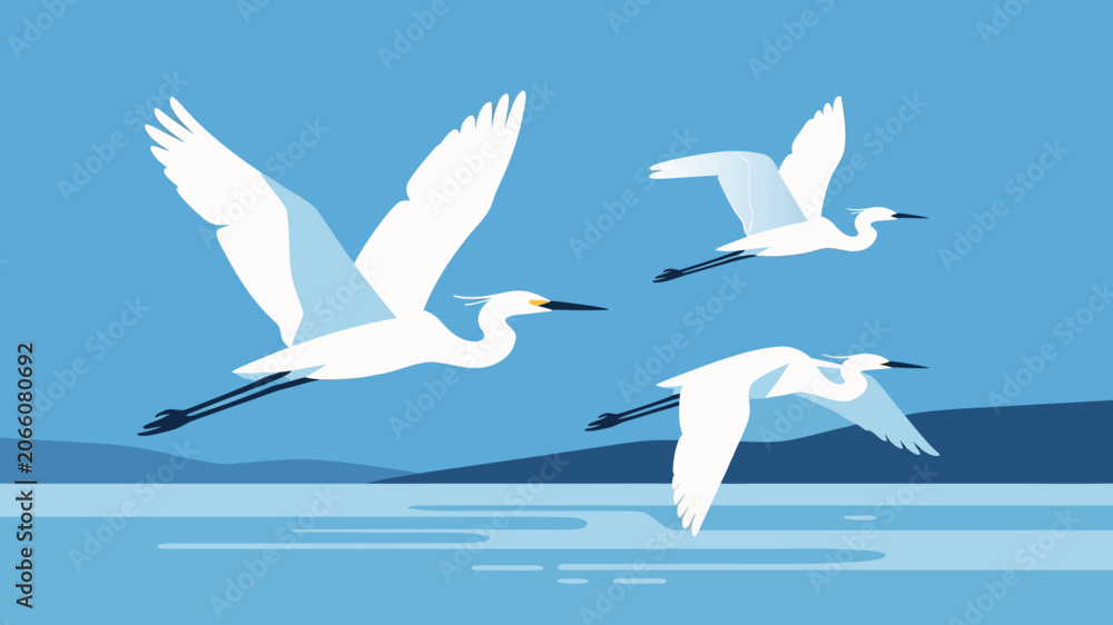 Obraz premium A flat illustration of three white egrets flying gracefully over a calm body of water against a clear blue sky.