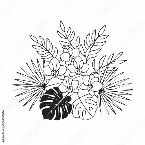 Orchid and Tropical Leaves Line Art Illustration