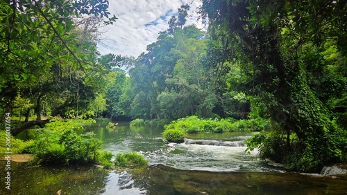 Photos Beautiful rain forest stream flowing through lush mixed deciduous jungle in rainy season