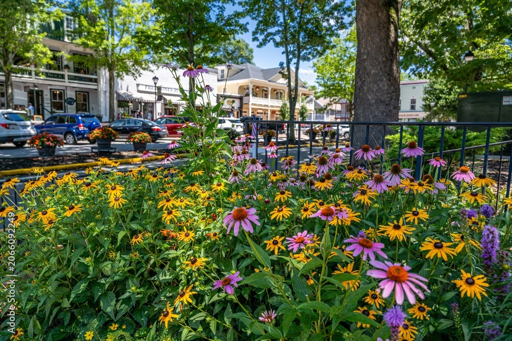 Obraz premium Dahlonega, Georgia