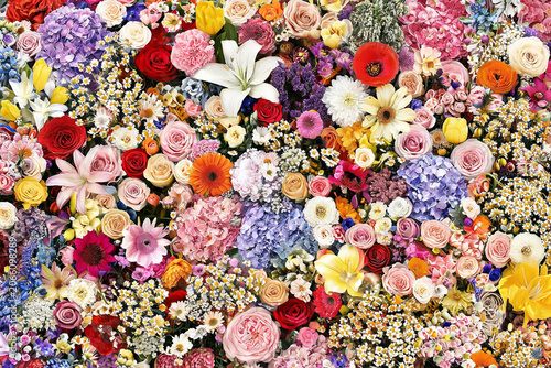 Abundant floral background with hundreds of blooming colorful flowers, dense summer bouquet pattern with rose and hydrangea wallpaper