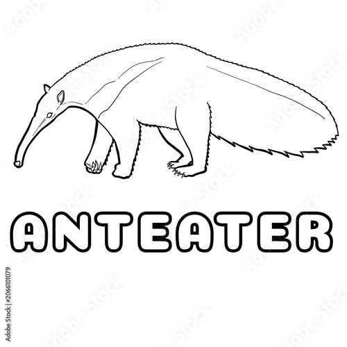 Anteater vector