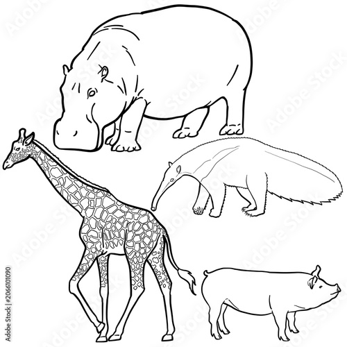 Big Animals