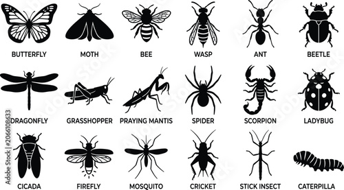 Bilde på lerret Set of black silhouette icons depicting various insects and arachnids including butterfly, beetle, spider, and more in image_058747