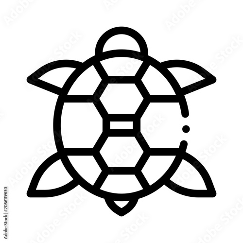 turtle line icon