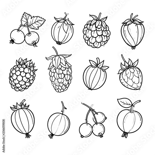 A black-and-white illustration of various berries and fruits