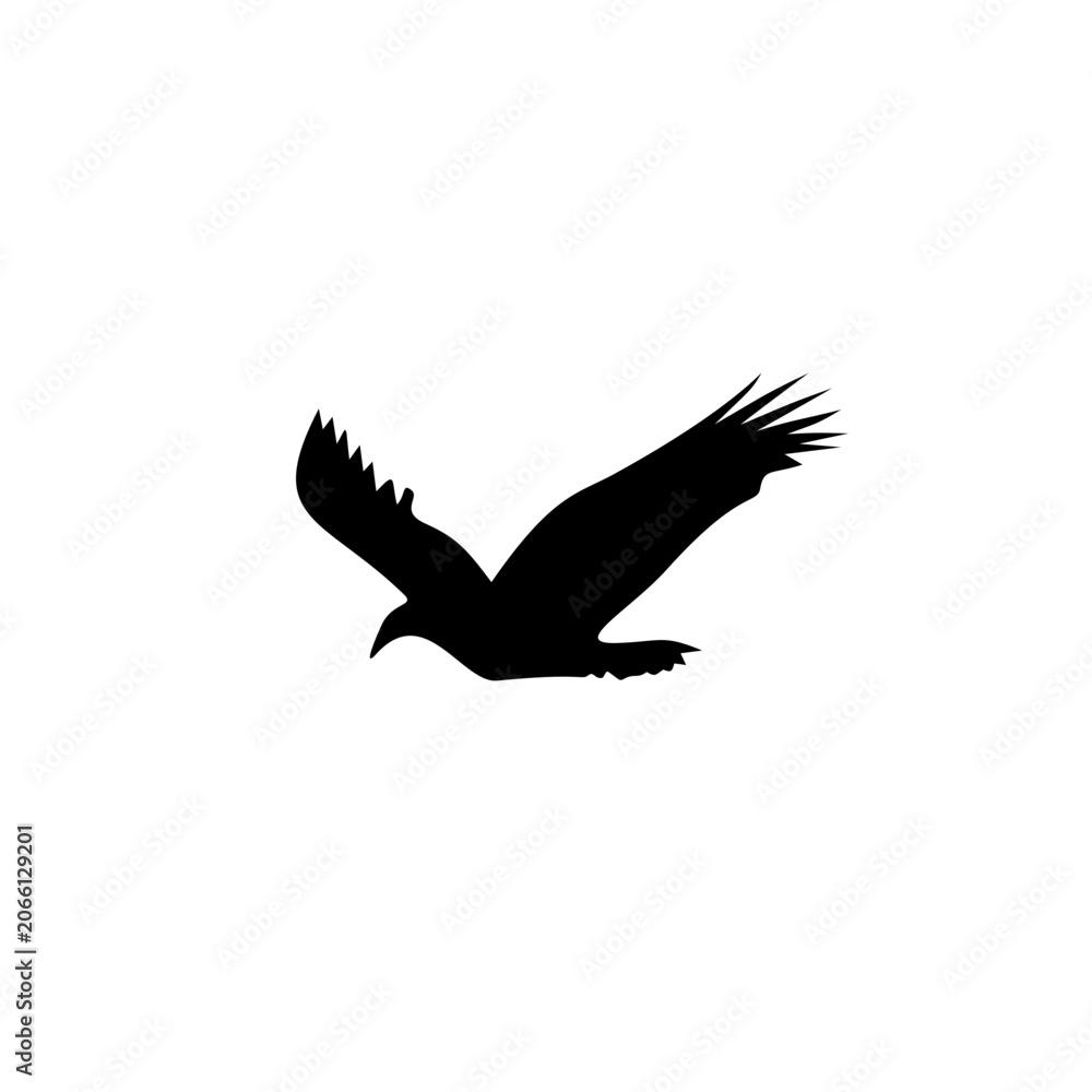 Naklejka premium Bird silhouette