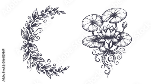 Hand-Drawn Botanical Wreath and Water Lily Illustration