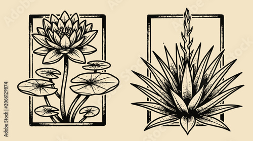 Botanical Illustration: Lotus Flower and Agave Plant in Frames
