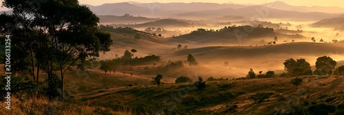 Misty Morning Hills: A breathtaking panoramic view of rolling hills shrouded in a soft, golden mist at sunrise, with silhouetted trees standing guard over the tranquil landscape.