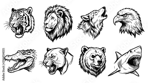 Foto Wild Animal Heads Collection: Tiger, Lion, Wolf, Eagle, Shark, Bear