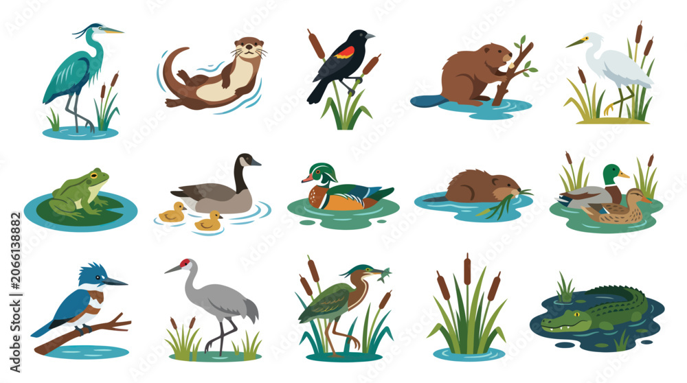 Fototapeta premium Flat Vector Art of Various Aquatic Animals and Birds in Nature