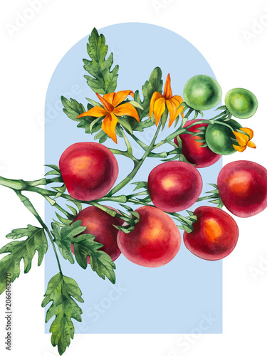 Tomato Girl Summer background with fresh red tomatoes, blue striped textile, Mediterranean market aesthetic, Italian summer lifestyle, rustic farmhouse charm, seasonal harvest concept