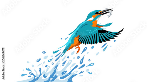 Minimalist flat vector illustration of a flying pelican catching fish in water