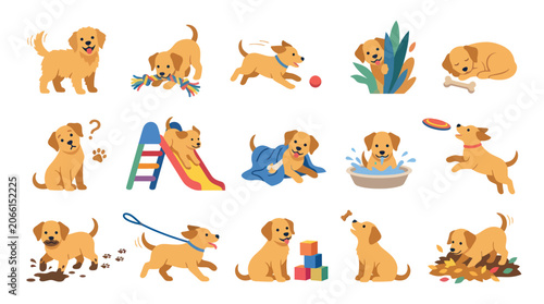 Cute Flat Vector Illustration Set of Golden Retriever Puppies in Playful Scenes for Pet Animals