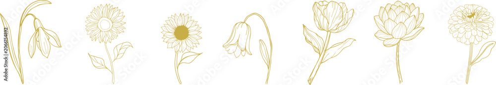 Fototapeta premium Gold flower line art set with daisy, tulip and rose outline icons, hand drawn botanical drawings for wedding invitation design, floral logo and minimal nature decoration.