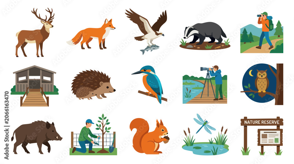 Obraz premium Nature and Wildlife Flat Vector Illustration Set with Animals, Conservation, and Outdoor Activities