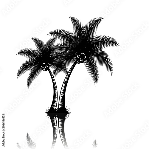 Two Black Palm Trees Reflected in Water.