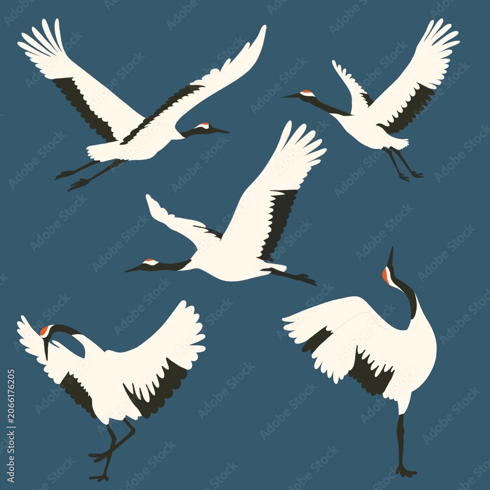Fototapeta premium Asian Crane Printable Art Collection