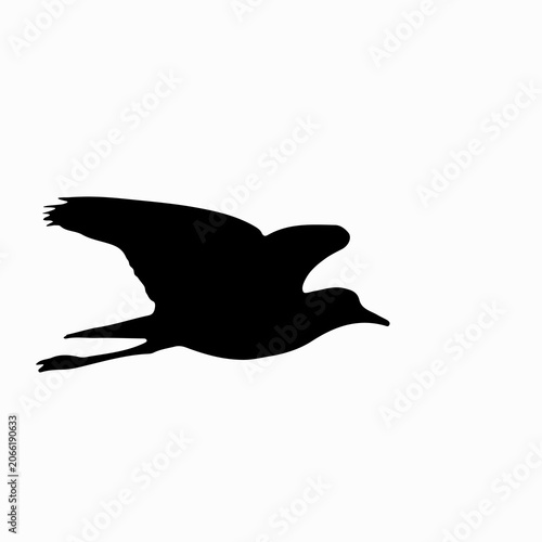 Red-wattled Lapwing bird silhouette in flight isolated on a light background, ideal for wildlife, nature conservation, birdwatching, logos, educational materials, decals, and design projects.