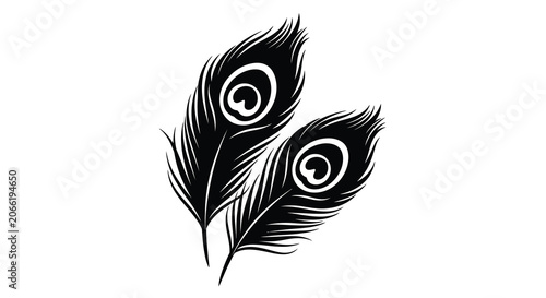 Peacock Feathers Silhouette Against A White Background