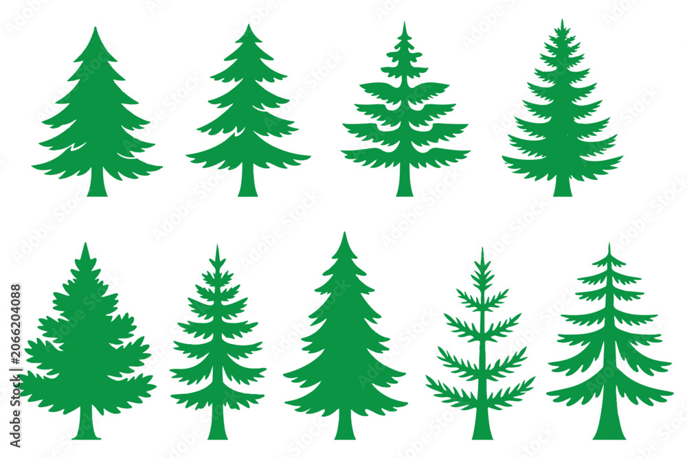 Obraz premium Forest trees set. Isolated vector silhouette. Coniferous forest. Christmas tree, fir-tree, pine, pine-tree, Scotch fir, cedar silhouette vector illustration