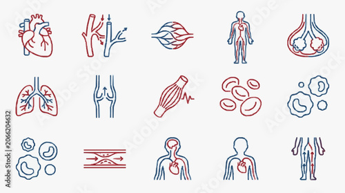 Tableau sur toile Medical Icons Representing Human Anatomy and Physiology.
