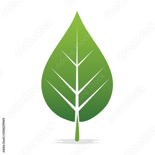 Green Leaf Icon with White Veins