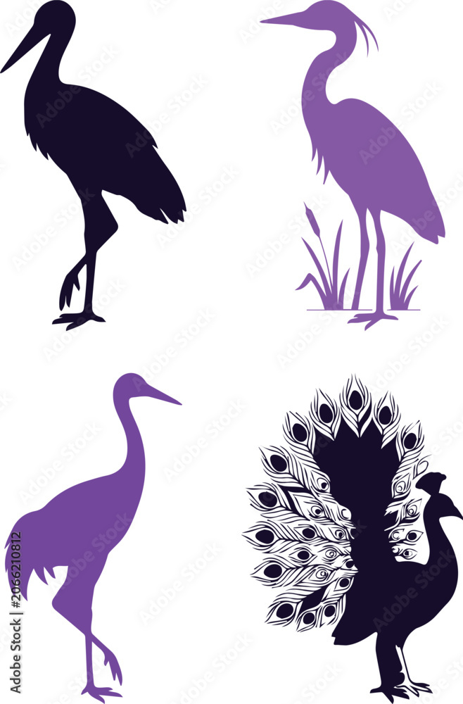 Obraz premium Elegant bird silhouettes collection, purple peacock and heron vector set, 4 bird icons including stork and crane, wildlife nature graphics