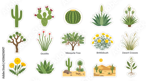 Flat Design Desert Plants and Cacti Vector Icons Set