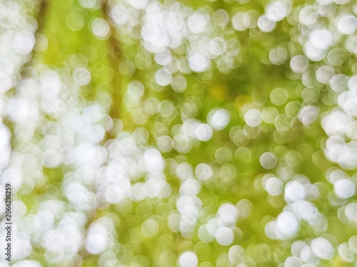 Beautiful abstract green nature bokeh background with bright sunlight filtering through leaves, perfect for a fresh organic backdrop or serene seasonal wallpaper