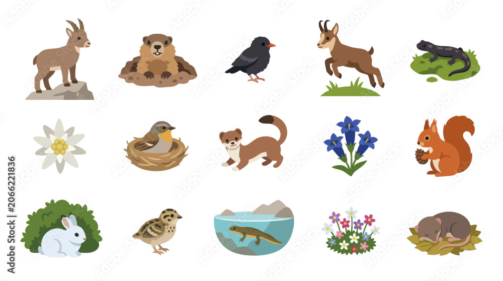 Obraz premium Flat Illustration of Alpine Wildlife and Flora: Chamois, Squirrel, Birds, Flowers