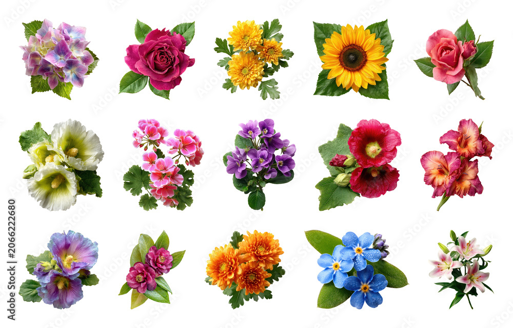 Fototapeta premium PNG Collection of colorful floral stickers isolated on transparent background