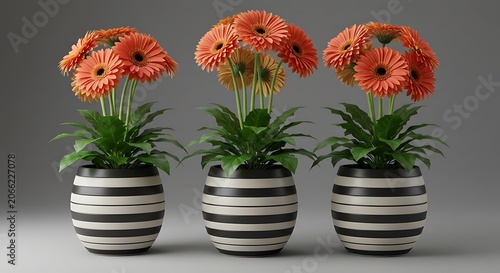 Striped Bloom Trio