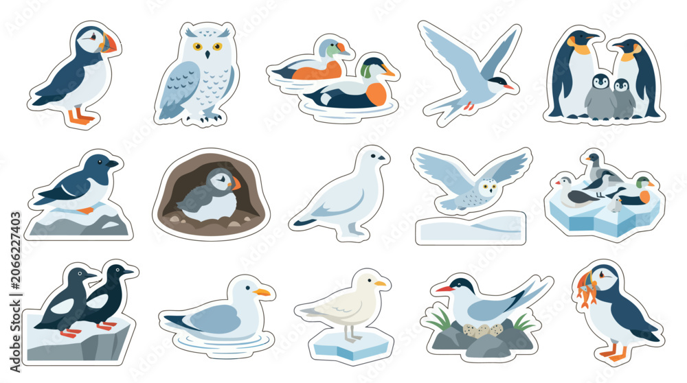Obraz premium Flat Vector Sticker Collection: Cute Arctic and Sea Birds Illustrations - Penguins, Puffins, Owls, Gulls, Ducks