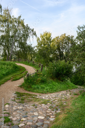 A winding path along a wooden fence leading to a hill with a birch tree
